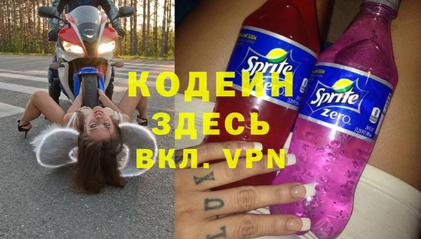 прущий лед Алзамай
