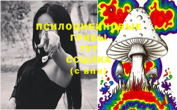 прущий лед Ростов